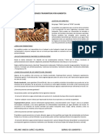 Parásitos y Las Enfermedades Transmitidas Por Alimentos