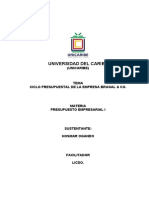 Trabajo Final Presupuesto Empresarial I