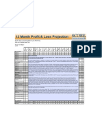 Profit and Loss Projection, 1yr