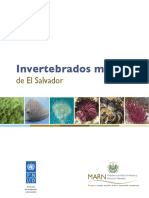 Invertebrados Marinos de El Salvador PDF