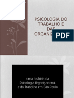 Psicologia Do Trabalho e Das Organizações