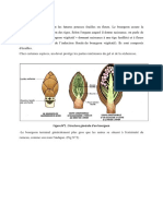 Bourgeon PDF