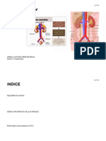 Trabajo Sistema Excretor PDF LISTO