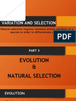 VARIATION AND SELECTION 3 - Evolution and Natural Selection