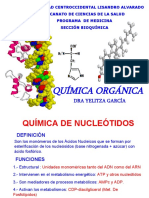 Acnucleicos PPT Pps