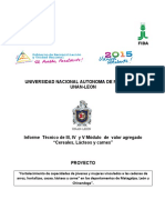 INFORME TECNICO MEFCA Final