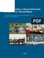 Desenvolvimento Produtivo em Mocambique PDF