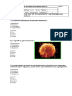 Desarrollo-Embrionario PRUEBA 2