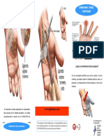 Tríptico El Sindrome Del Túnel Carpiano I PDF