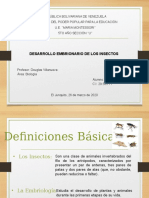 Desarrollo Embrionario de Los Insectos