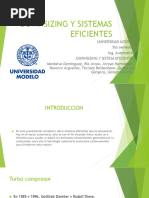 Downsizing y Sistemas Eficientes PDF