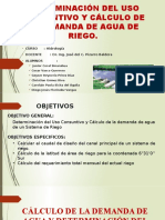 Determinacion Del Uso Consuntivo y Calculo de La Demanda de Agua