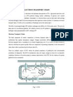 Electron Transport Chain