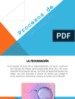 Procesos de Gestación