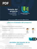 Tamaño Del Proyecto