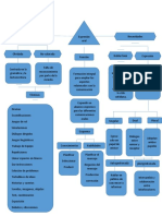 La Expresión Oral Mapa de Estudio (Autoguardado)