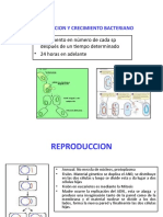 Reproduccion y Crecimiento Bacteriano