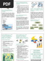 Folleto Tematico, Informativo y Explicativo SSGC