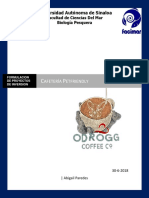 Castulove PDF