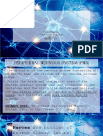 Group 10: Peripheral Nervous System (PNS)