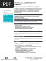 Pratiquer La Comptabilite Publique PDF