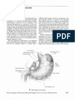 Esophageal Anastomosis