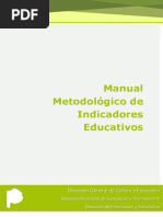 Manual de Indicadores