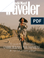 Traveler 138 PDF