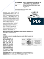 2 Biología Guía de Mitosis y Meiosis