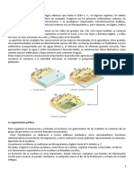 SOCIAL SCIENCE 1º ESO Las Primeras Civilizaciones