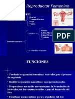 Aparato Reproductor Femenino