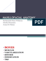 Maxillofacial Anatomy: Rachmanda Haryo Wibisono Hendra Benyamin Joana de Fatima