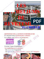 1 - Epitheliums de Revetement - 2 - 18-19 PDF