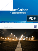 Blue Carbon Company Profile-2019.02 PDF