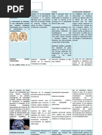 Cuadro Comparativo Neuropsicologia 22