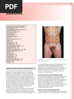 Abdomen Anatomy PDF