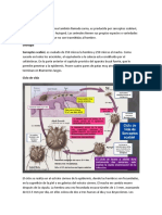 Escabiosis