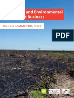 The Human and Environmental Cost of Land Business-The Case of Matopiba 030718