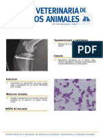 Medicina Basada en Evidencia Veterinaria PDF