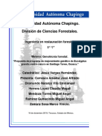 Propuesta de Programa de Mejoramiento Genético de Eucalyptus Grandis Contra Cancro en Santiago Yaveo, Oaxaca."