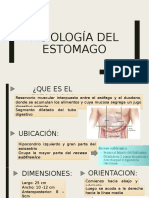 Fisiología Del Estomago 6-03-19