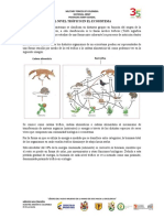 El Nivel Trófico en El Ecosistema