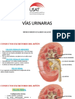 VÍAS URINARIAS DR - Nixor 2019