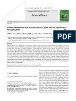 Sciencedirect: Silicon Acquisition and Accumulation in Plant and Its Significance For Agriculture