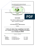 Memoire PDF