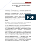 CL04 Industrializacion Comercializacion PDF