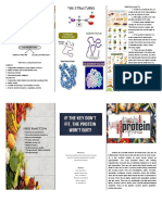 The Structures: Protein Facts