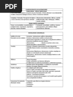 Clasificacion de Las Alucinaciones