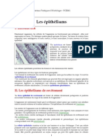 Histo Epithelium