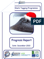 SSTP Progress Report Dec 2010